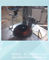 Máquina de enrolamento Côncavo-convexa da bobina de Cooktop da colisão do fogão de arroz fornecedor